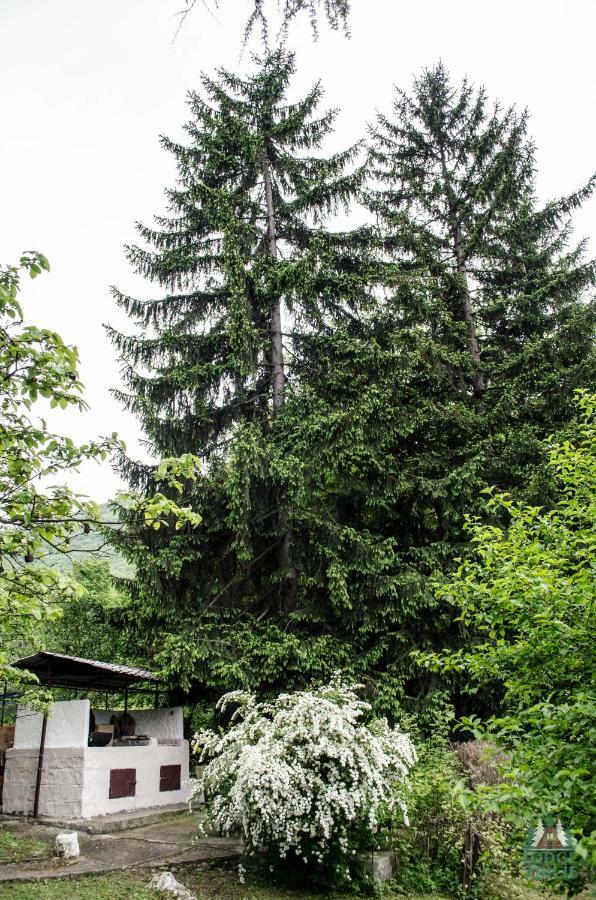 Lodge Zbilje Visoko, Bosnian Pyramids Buitenkant foto